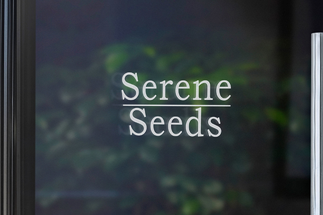 serene seeds custom vinyl lettering stickers